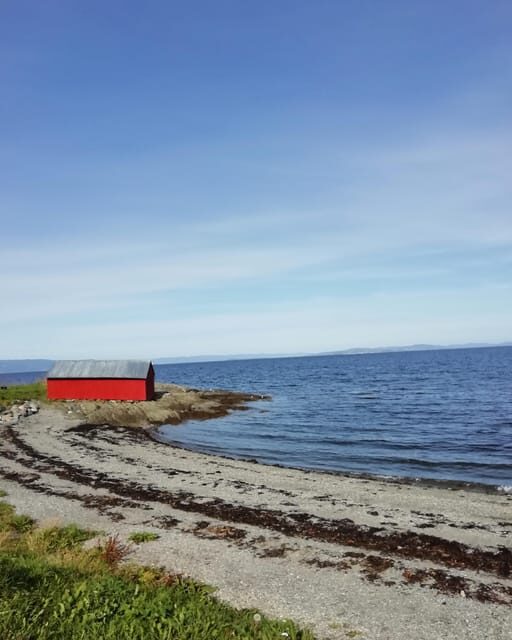 Discovery hike along the Trondheimsfjord - An in-depth look at what makes this hike special