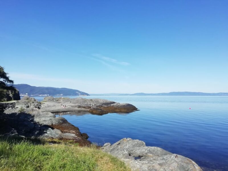 Discovery hike along the Trondheimsfjord - Who Should Consider This Tour?