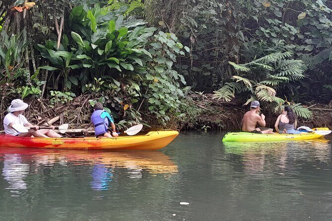 Discovery in Kayaking of the Faaroa River in Raiatea - Discovery in Kayaking of the Faaroa River in Raiatea