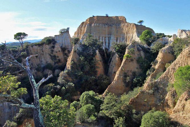 Discovery "les Orgues and truffles" - Final Thoughts: Why Choose This Experience?
