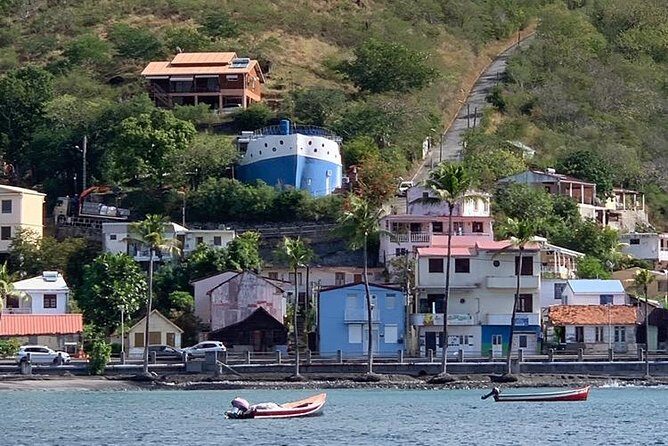 Discovery of dolphins on the Caribbean coast - Who Will Love This Tour?