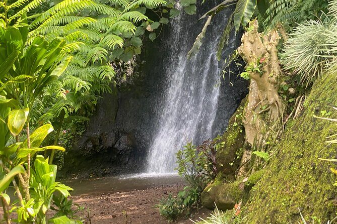 Discovery of Tahiti Nui Island - Discovering Tahiti Nui: An Authentic Island Tour
