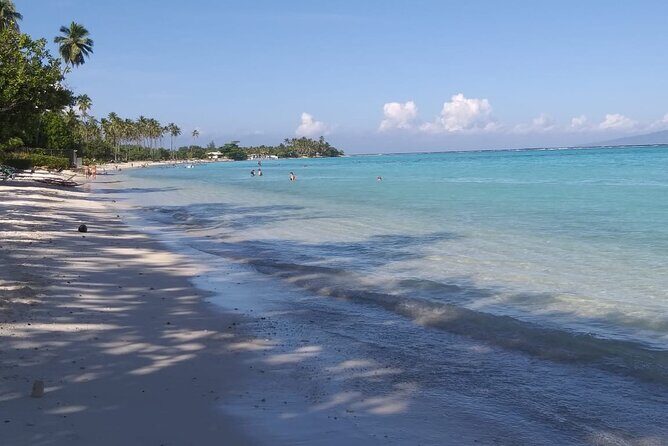 Discovery of Tahiti Nui Island - A Detailed Look at the Tahiti Nui Discovery Tour