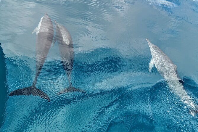 Discovery of the Tahiti Teahupo'o Jurassic Tour peninsula - Who Will Enjoy This Tour Most?