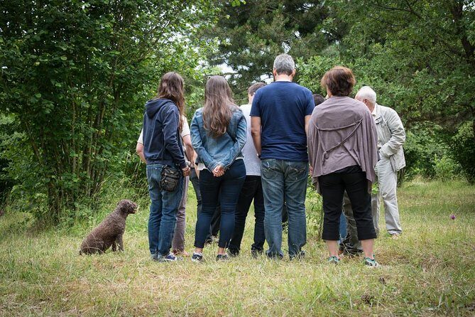 Discovery of the world of Truffles and tasting - FAQ: Your Questions About the Truffle Tour Answered