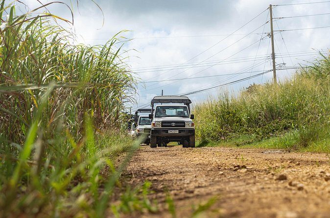 Discovery Safari - The Guide and Overall Experience