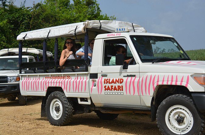 Discovery Safari - The Sum Up: Who Is This Tour Best For?