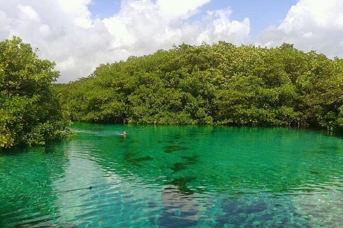 Discovery Scuba Diving - FAQs About the Discovery Scuba Diving Tour