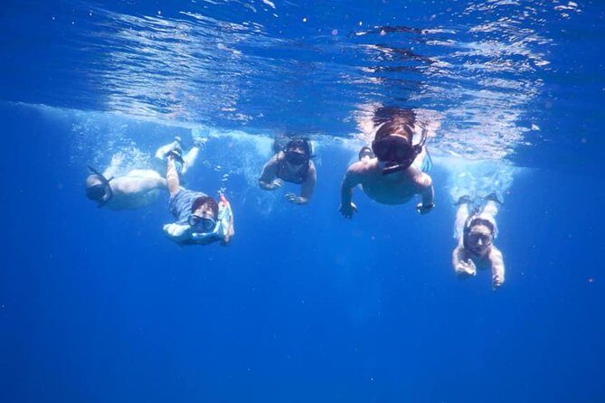 Discovery Scuba Diving & Snorkeling at Nha Trang Bay - Why This Tour Offers Great Value