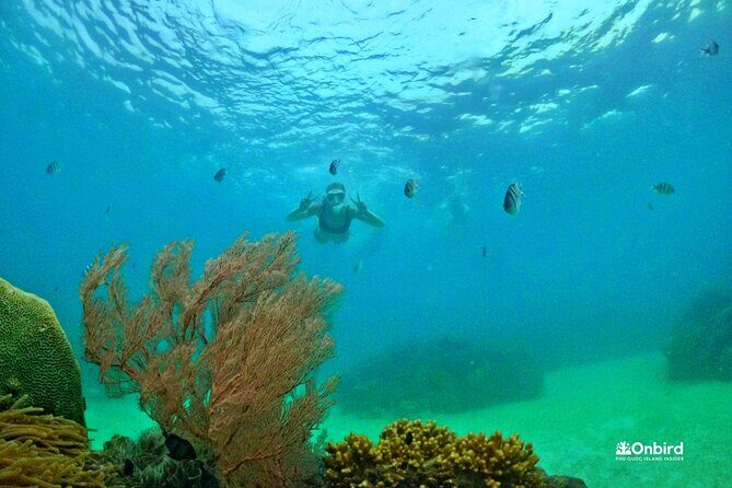 [DISCOVERY SNORKELING] 4 Islands-2 Reefs & BBQ [MAX 12 PAX] - Who Is This Tour Best For?