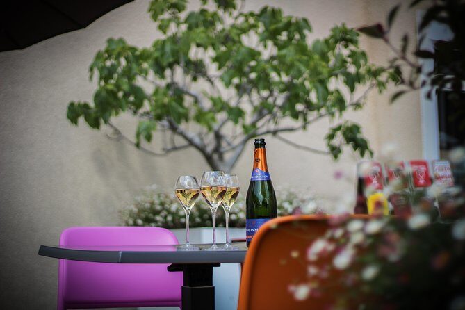 Discovery tour (2 tastings) - Discover the true spirit of Champagne at Charles Mignon in Épernay