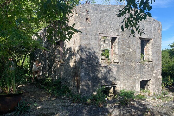 Discovery Tour and Treasure Hunt ( North and Middle Caicos) - A Deep Dive into the Experience