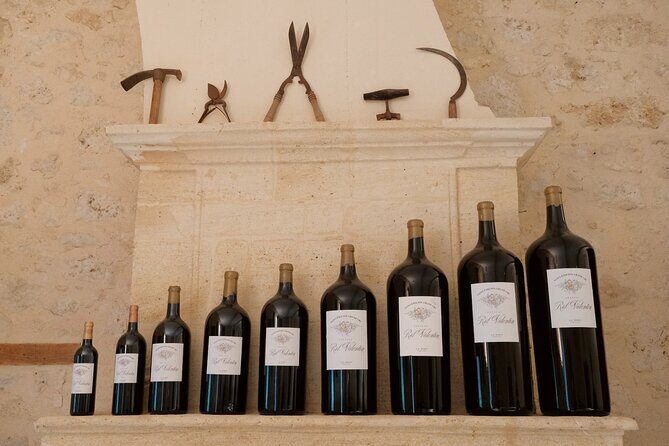 Discovery visit of Château Rol Valentin with tasting - Final Thoughts