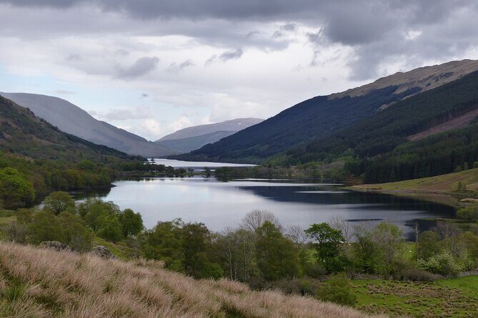 Discovery Wildlife Safari - Discovery Wildlife Safari: A Journey into the Scottish Highlands’ Wild Heart
