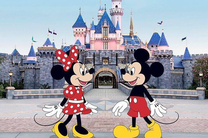 Disneyland or Disneysea Transfer to or from Tokyo English Driver - Key Points