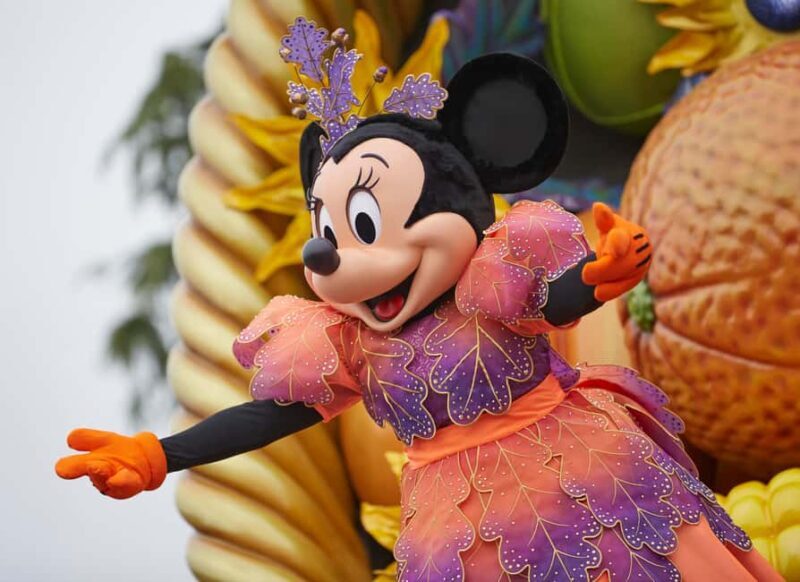 Disneyland® Paris 1-Day Flexible Date Ticket - Disneyland® Paris 1-Day Flexible Date Ticket: Your Complete Guide to a Magical Experience