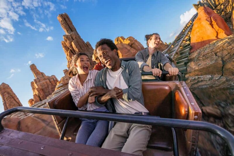 Disneyland® Paris 1-Day Ticket - Long Queues and Peak Times