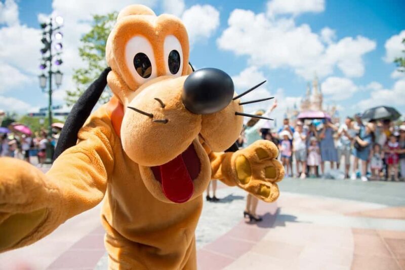 Disneyland Paris One-Day Admission Ticket with Transport - Disneyland Paris One-Day Admission Ticket with Transport: A Complete Review