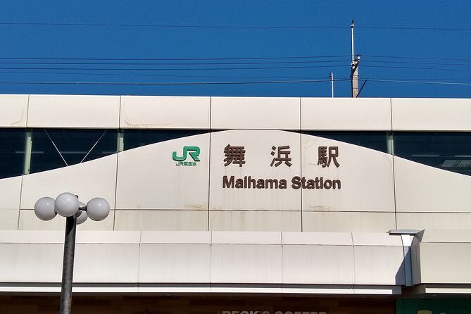 DisneyLand/Sea Ticket & Private Morning Ride from Hotel in Tokyo! - Frequently Asked Questions