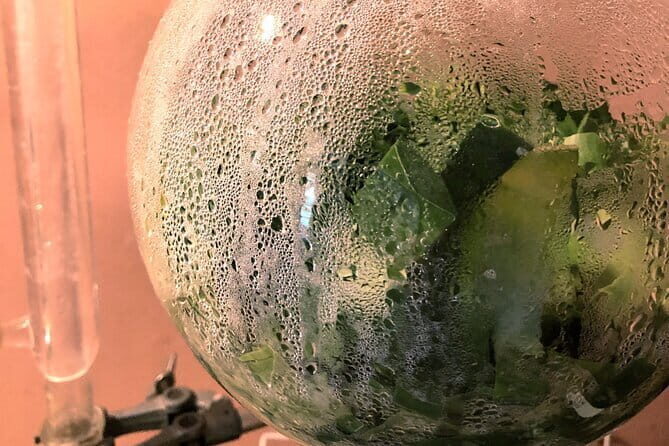 Distillation of Okinawa Herb Essential Oil and Herbal Water - A Unique Okinawan Experience: Distilling Herb Essential Oil and Herbal Water in Ishigaki