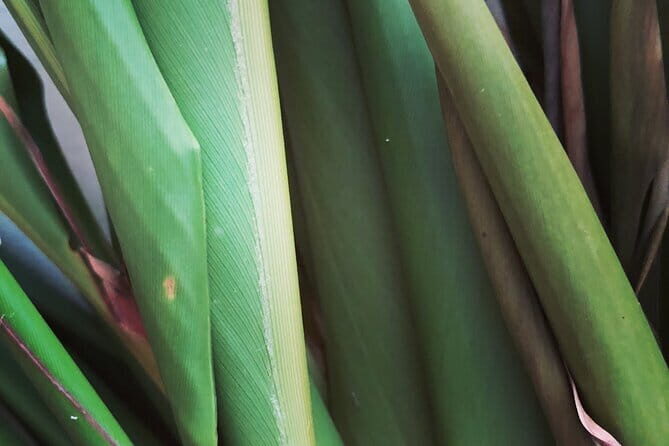 Distillation of Okinawa Herb Essential Oil and Herbal Water - FAQs