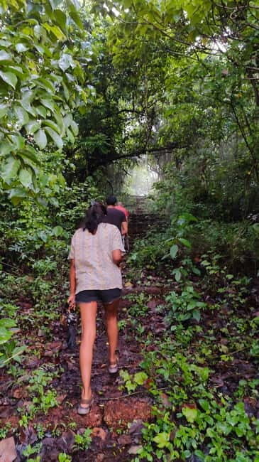 Divar Island Excursion with a Native Islander - The Practicalities: What’s Included and What to Keep in Mind