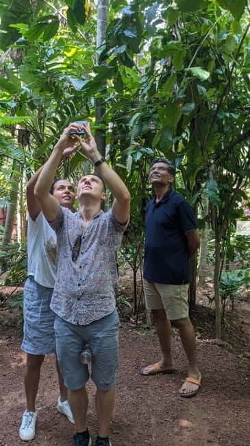 Divar Island Excursion with a Native Islander - Who This Tour Is Perfect For