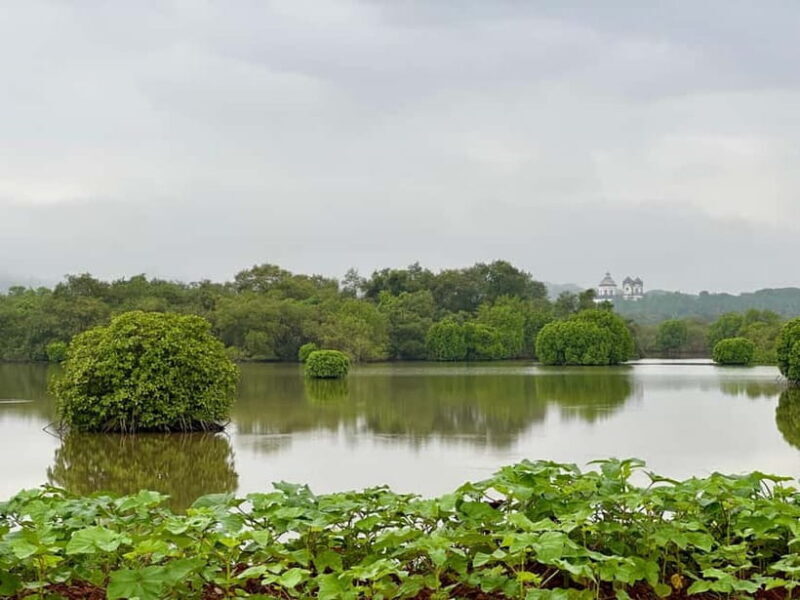 Divar Island Excursion with a Native Islander - Final Thoughts: Why You Should Consider This Experience