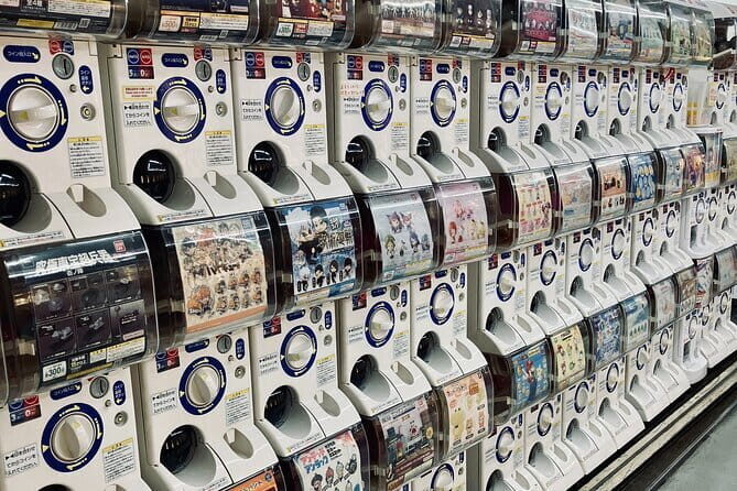 Dive Deep into Anime & Manga Culture & Karaoke in Nakano - Who Should Consider This Tour?