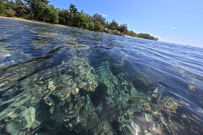 Dive Into Paradise: Snorkel Adventure at Paradise Cove - The Underwater Marvels: What Youll Encounter