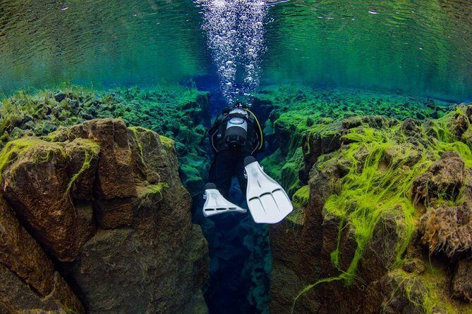 Dive the Divide: Silfra Fissure Scuba Tour | Reykjavik Pickup - Key Points
