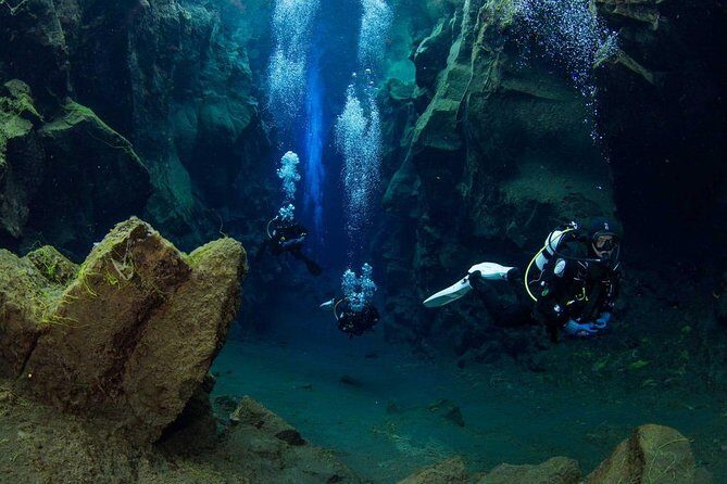 Dive the Divide: Silfra Fissure Scuba Tour | Reykjavik Pickup - Frequently Asked Questions