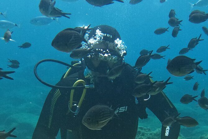 Dive The Rock (Scuba Diving Experience in Protaras) - Dive The Rock (Scuba Diving Experience in Protaras)