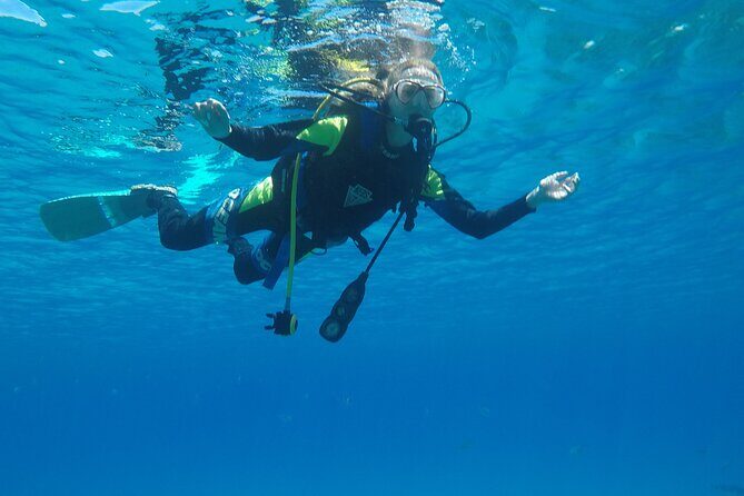 Dive The Rock (Scuba Diving Experience in Protaras) - Final Thoughts: Is It Worth It?
