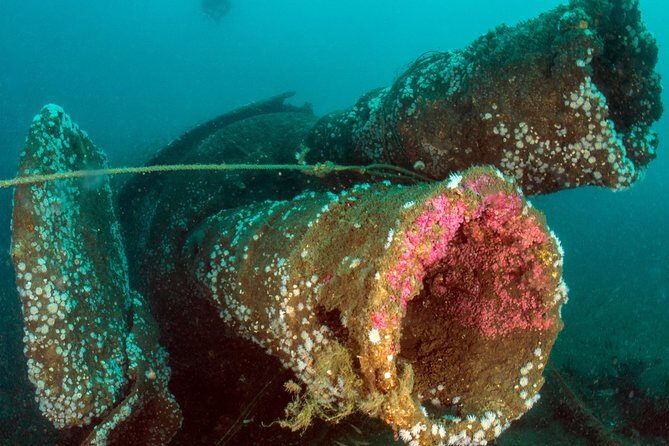 Dive the U-boat 1277, the most iconic dive in Portugal? - Price and Value Considerations