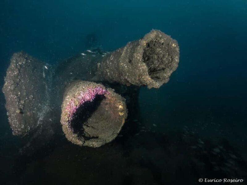 Dive the U-boat 1277 - the Most Iconic Dive in Portugal - Diving the U-boat 1277: An Unforgettable Underwater Experience in Portugal