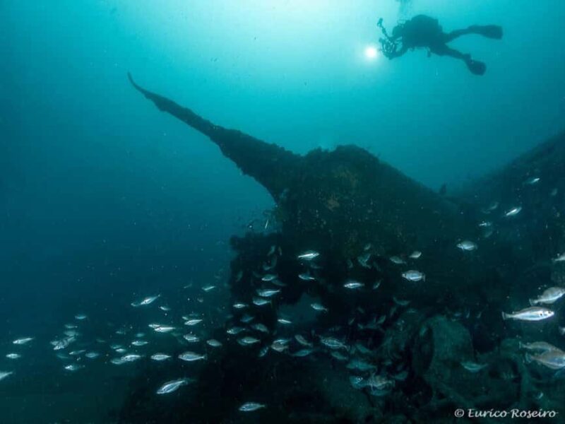 Dive the U-boat 1277 - the Most Iconic Dive in Portugal - Why This Tour Is For You