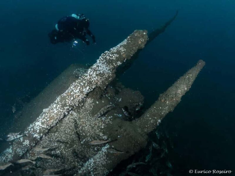 Dive the U-boat 1277 - the Most Iconic Dive in Portugal - The Sum Up: Who Should Consider This Experience?