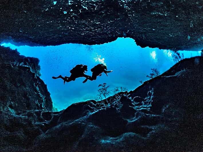 DiveSnap Underwater Sports Thrills:Lantern Point & P31 Wreck - Final Thoughts