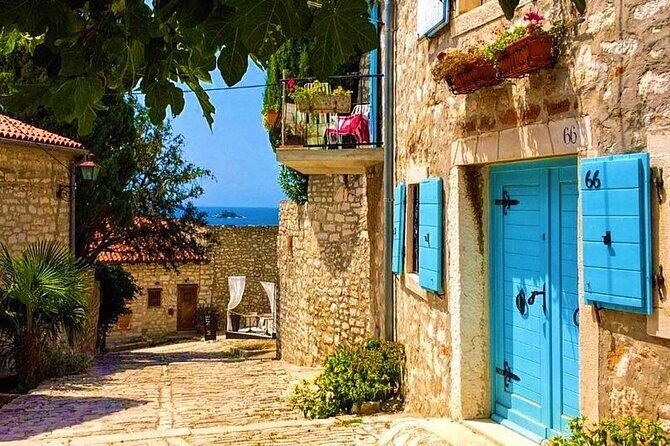 Divine Wine & Olive Oil Tasting in Istria Full-day Tour - Key Points