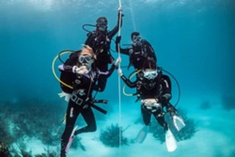 Diving - Diving in Carinthia, Austria: A Unique Introduction to Underwater Exploration