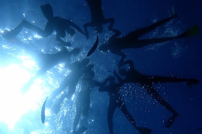 Diving Adventures - Boat and Shore Diving - Who Should Consider This Tour?