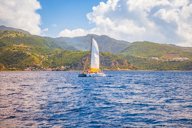 Diving and Snorkeling Catamaran Private Tour in Martinique - Dive into Adventure: Private Catamaran Tour in Martinique