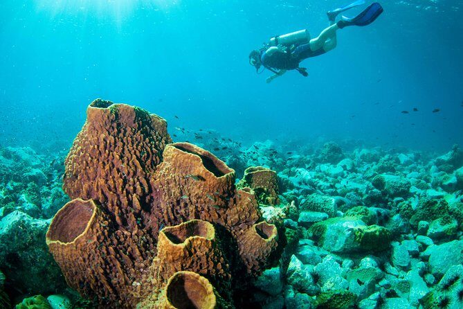 Diving at Koh Chang, daytrip with 2 dives - Why This Tour Is a Great Choice