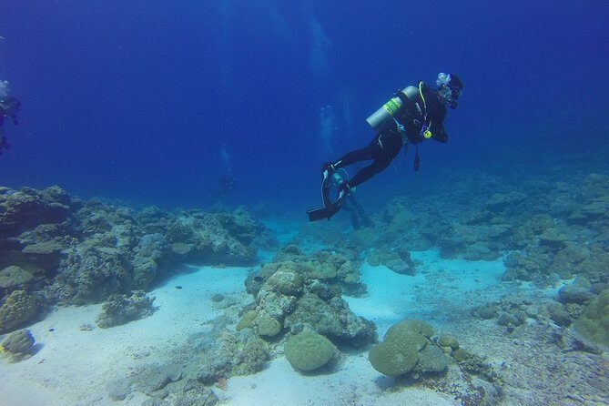 Diving Baptism - A Practical Look at the Diving Baptism Experience in Malaga