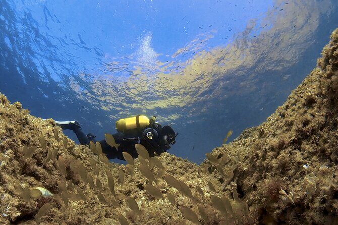 Diving baptism in the Marine Reserve of Cabo Tiñoso - A Detailed Look at the Experience