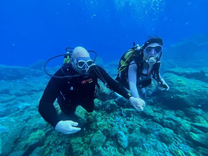 Diving course for beginners in turtle area Tenerife - The Cost and Value