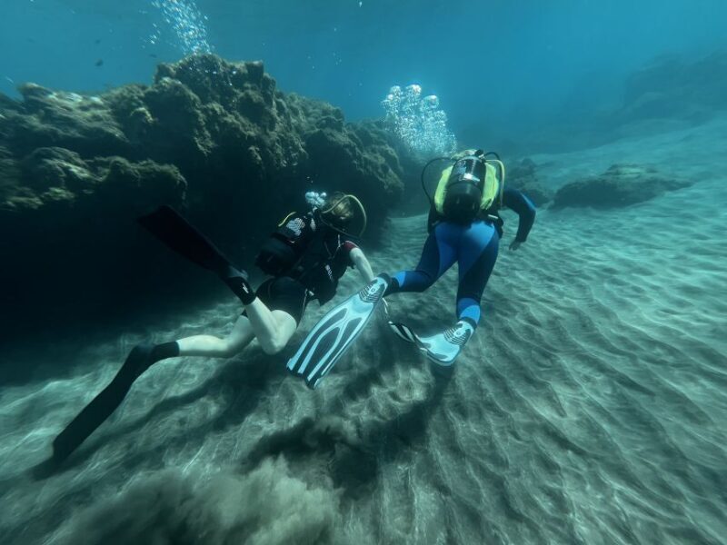 Diving course for beginners in turtle area Tenerife - Final Thoughts