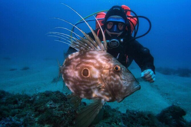 Diving Course with PADI Certification in Costa Brava - Key Points
