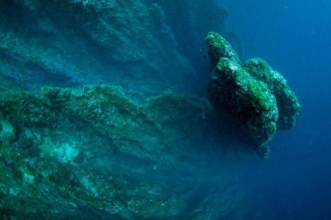 Diving day tour with 2 dives - Practical Tips for Travelers